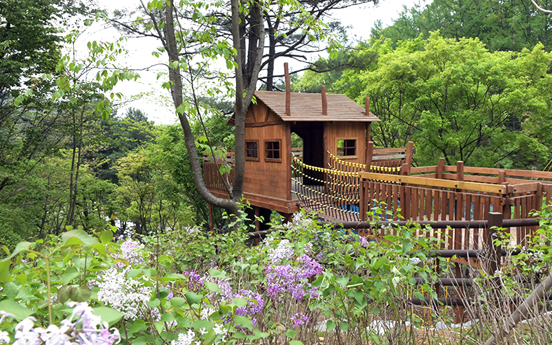 동두천 자연휴양림 예약