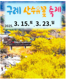 2025 구례 산수유 꽃축제 관련 사진