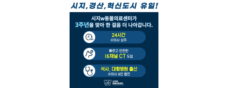 영천시 동물병원