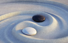 INTP 유형 특징 분석