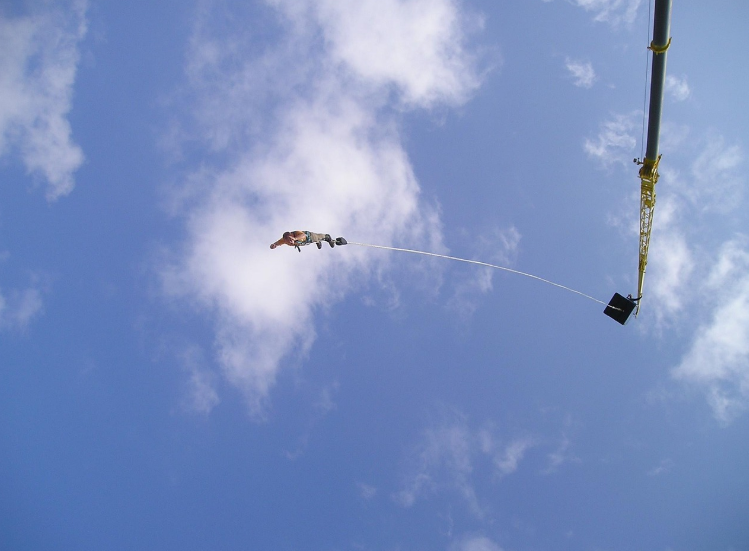 액티비티 관련 사진