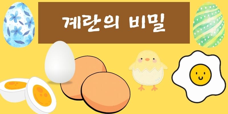 계란의 비밀