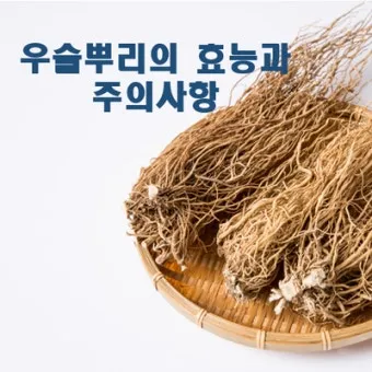 우슬뿌리 효능 부작용 먹는법 건강 활용 팁_26