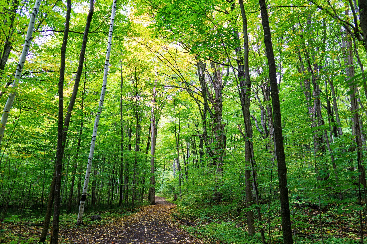 걷기 좋은 산책길 관련 사진