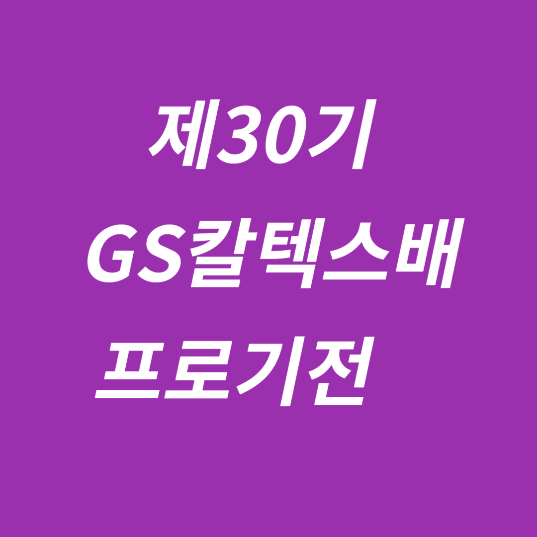 제30기 GS칼텍스배 프로기전