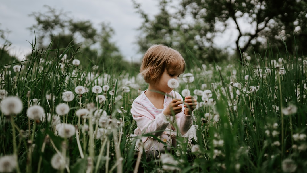 Dandelion