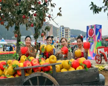 청송 사과축제_29