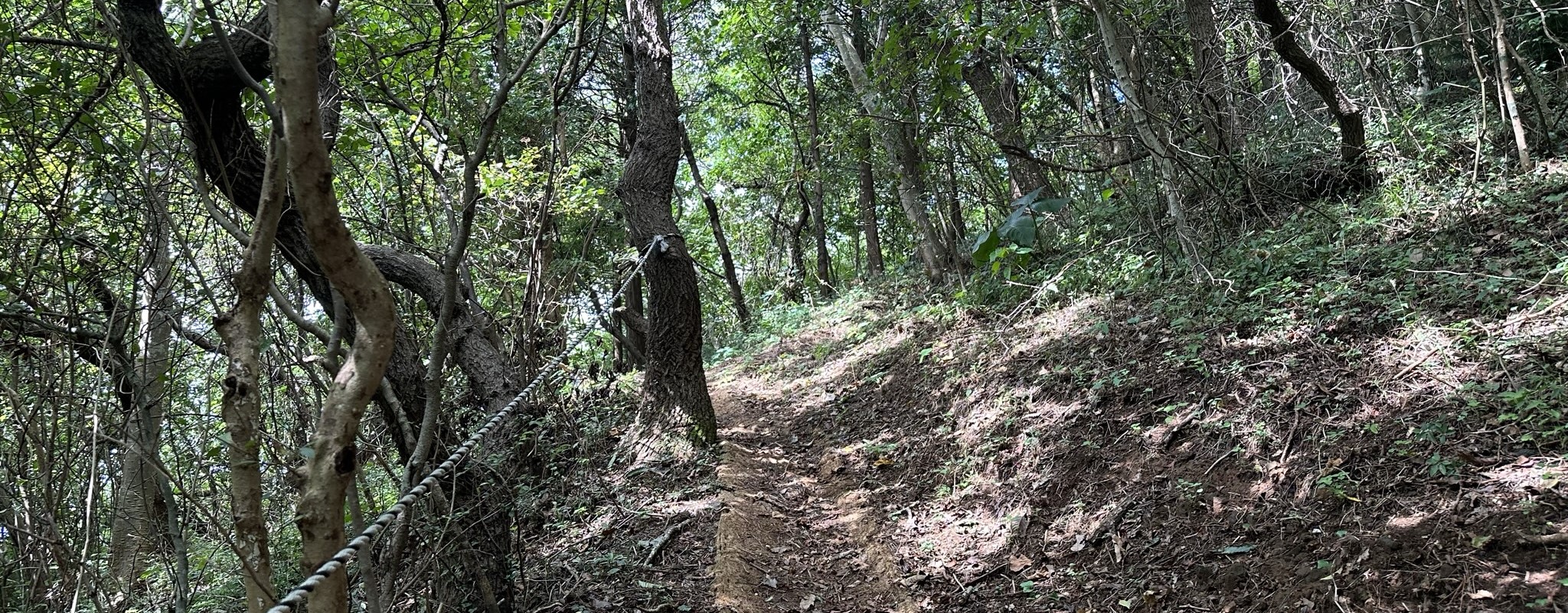 등반로