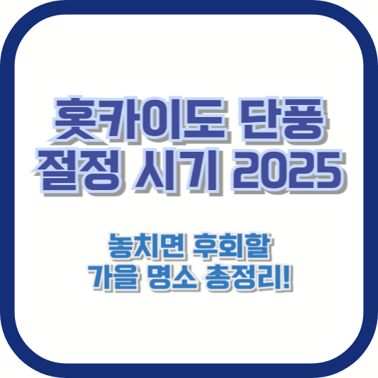 [홋카이도 단풍 절정 시기 2025] 놓치면 후회할 가을 명소 총정리!