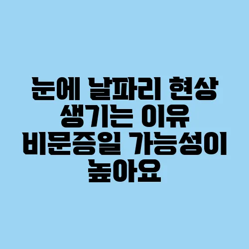 눈에 날파리 현상 생기는 이유 비문증일 가능성이 높아요