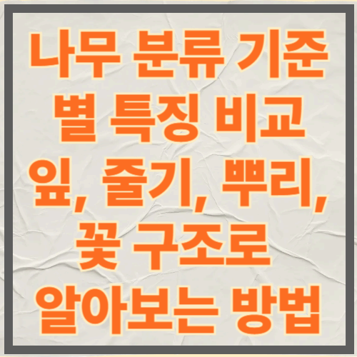 나무 분류 기준별 특징 비교|잎, 줄기, 뿌리, 꽃 구조로 알아보는 방법