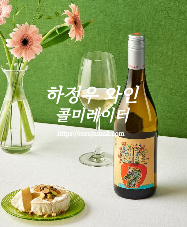 표지