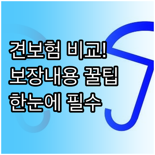 반려견 보험료 비교와 보장 내용 한눈..