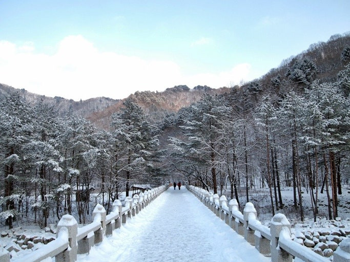 트레킹 명소 백담계곡 한라산 설경보다 예쁜데 3월 말까지 8km 전부 무료인