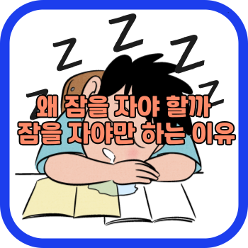 왜 잠을 자야 할까 잠을 자야만 하는 이유