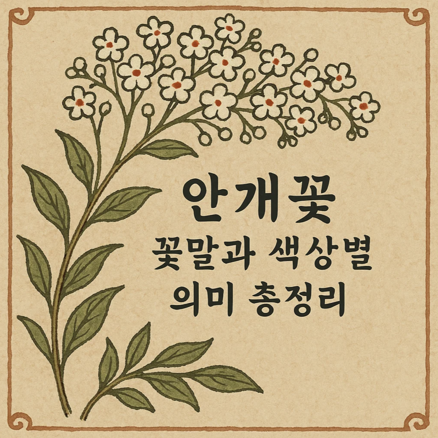 안개꽃 꽃말과 색상별 의미 총정리