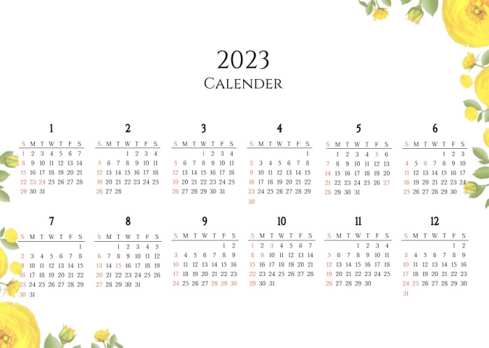 2023년 12개월 달력 노랑장미