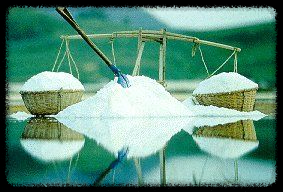 소금, 인류 역사의 최강 만능템 – 몰랐던 활용법 총정리