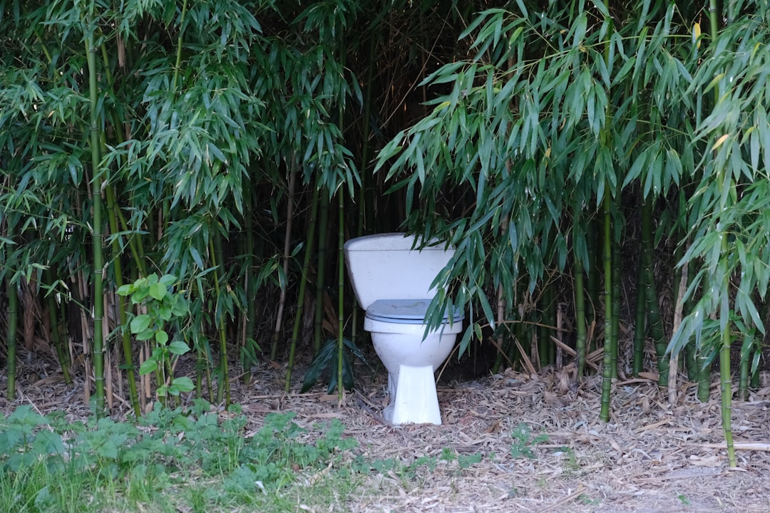 Urine.