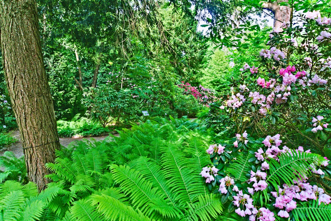 'Botanical Garden'