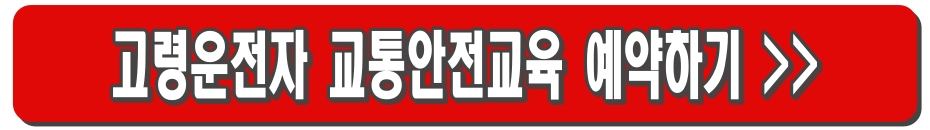 고령운전자 교통안전교육 (+보험료 할인)