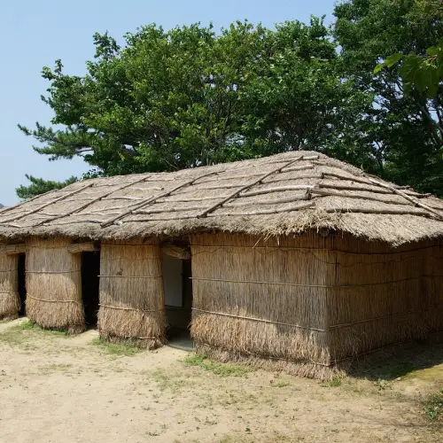 강릉 울릉도 배편