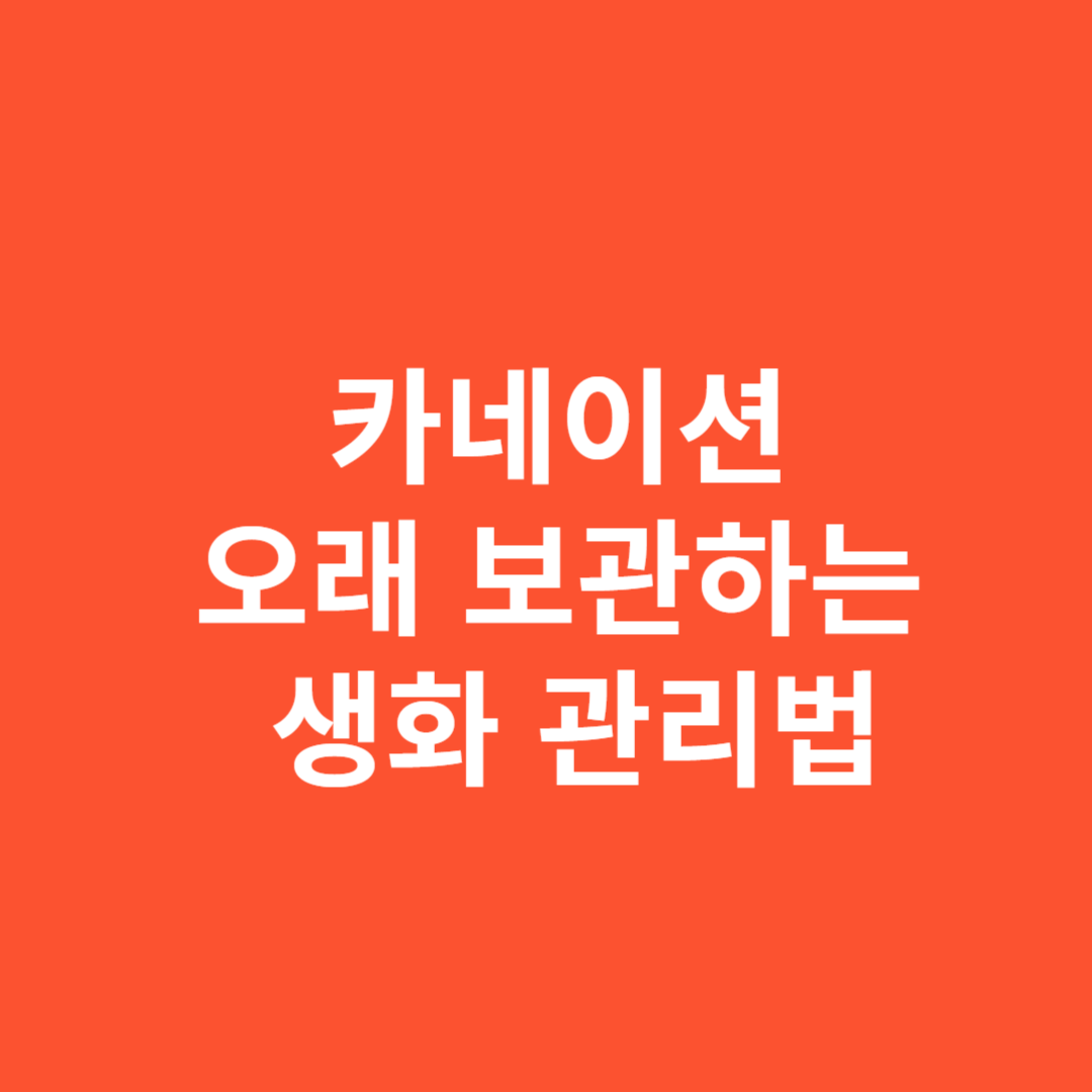 카네이션 오래 보관하는 생화 관리법