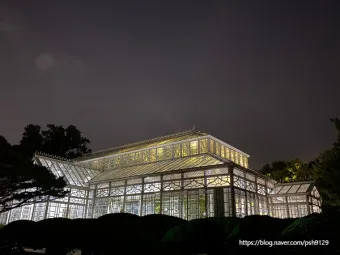 창경궁 예약 탐방 근처 맛집 10선_3