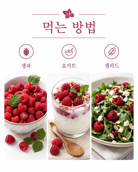 산딸기 효능