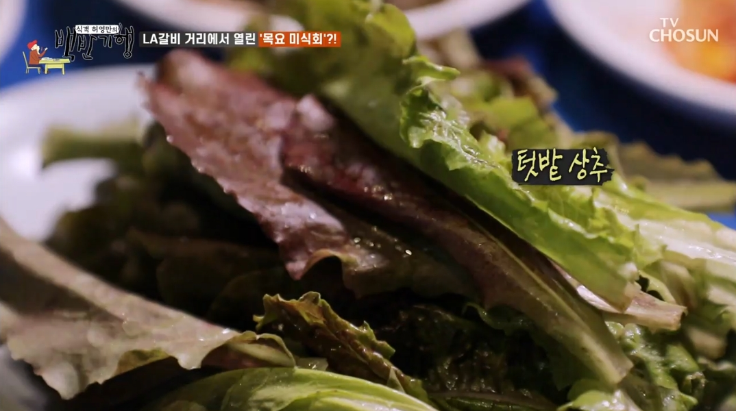 텃밭상추