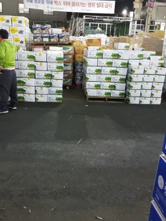 가락동 농산물 경매시세 실시간 확인 완벽 농산물 정보_14