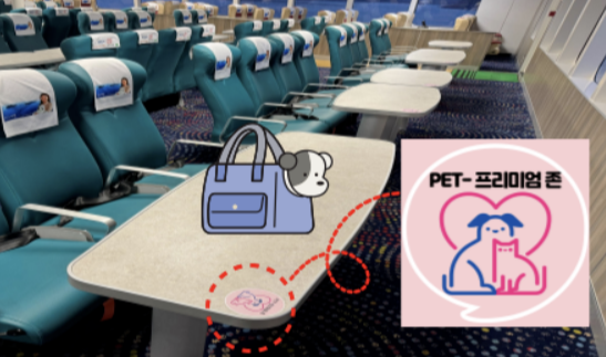 산타모니카 펫프리미엄존