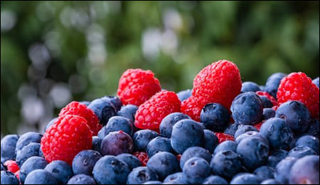 블루베리, 딸기 모듬