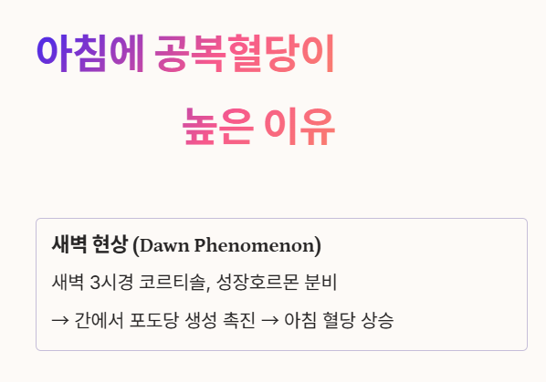 아침에 유독 공복혈당이 높은 이유 : 새벽현상