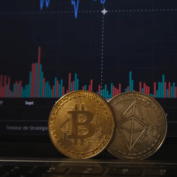 비트코인 거품 붕괴