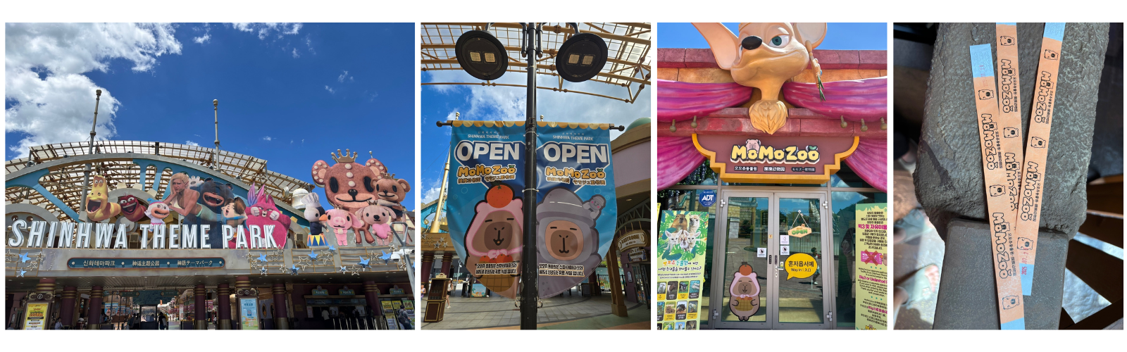 제주 모모쥬 동물체험, 아이와 힐링 가능한 이유?