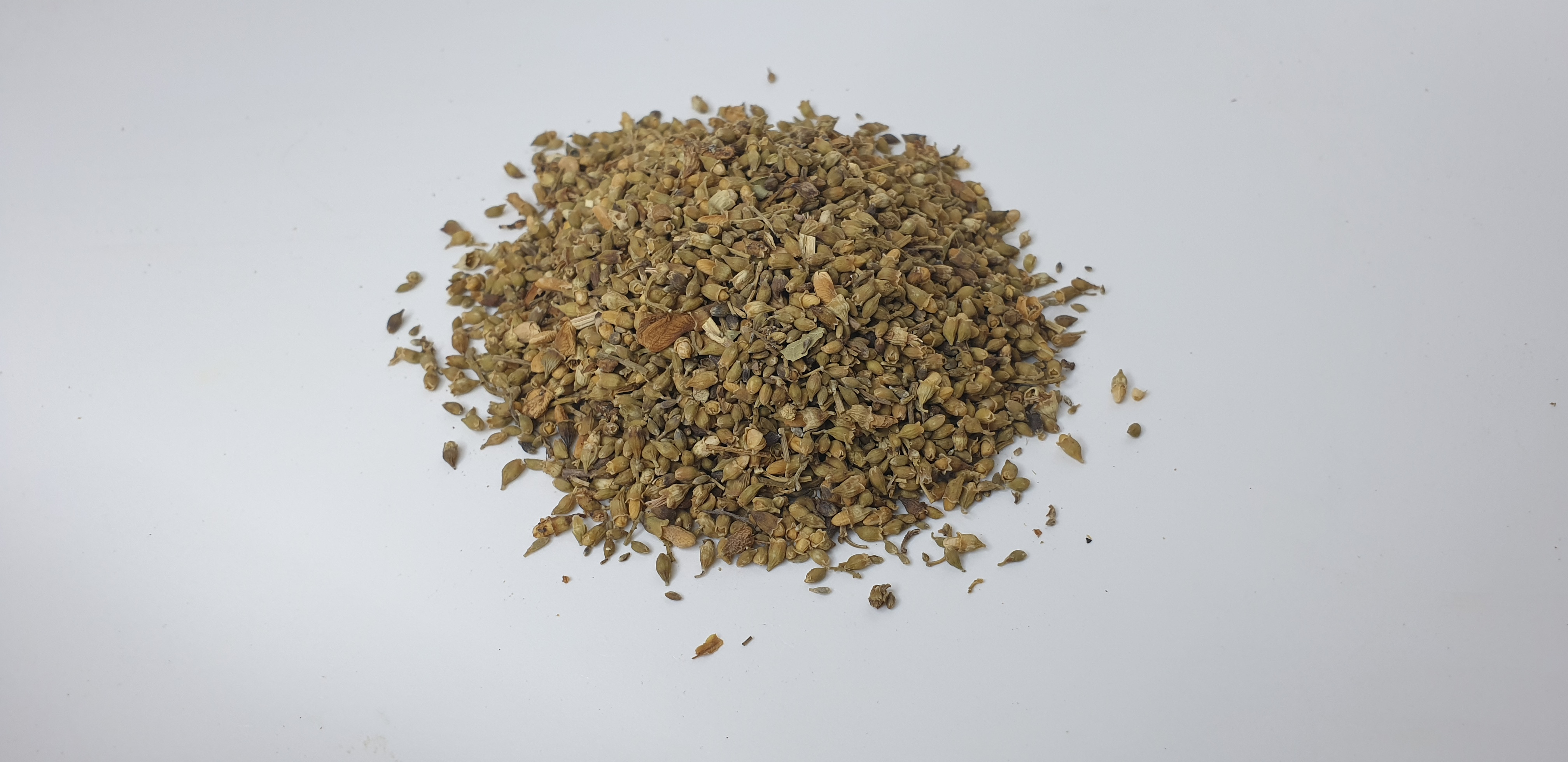 야생에서 회화나무의 열매인 괴실을 채취하여 깨끗하게 세척을 하고 건조시킨 것을 하얀 바닥 위에 수북하게 놓아두고 찍은 사진