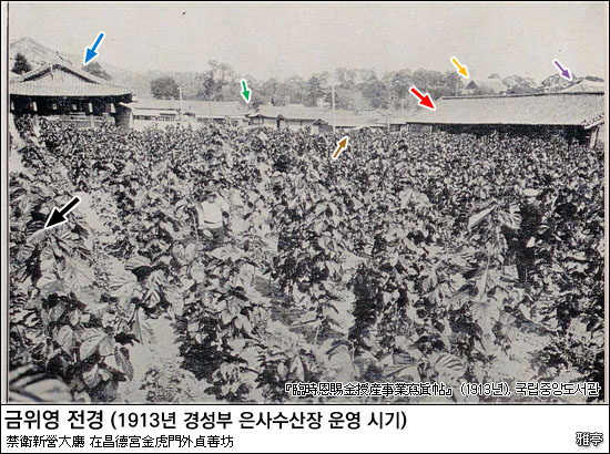 경성은사수산장(京城恩賜授産場) 시기 금위영(禁衛營) 전경