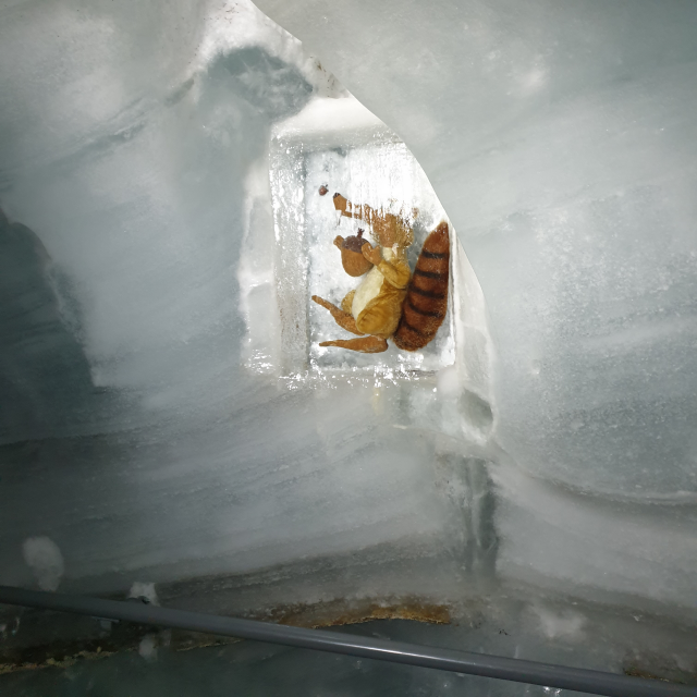 융프라우요흐 얼음궁전 얼음안에 갖힌 인형