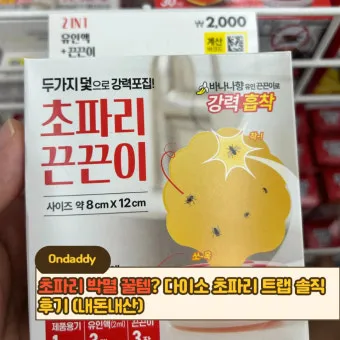 파리 퇴치 초파리 트랩 식초와 세제 과일 제거_9