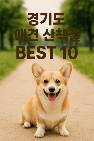 경기도 반려견 산책코스 TOP 10