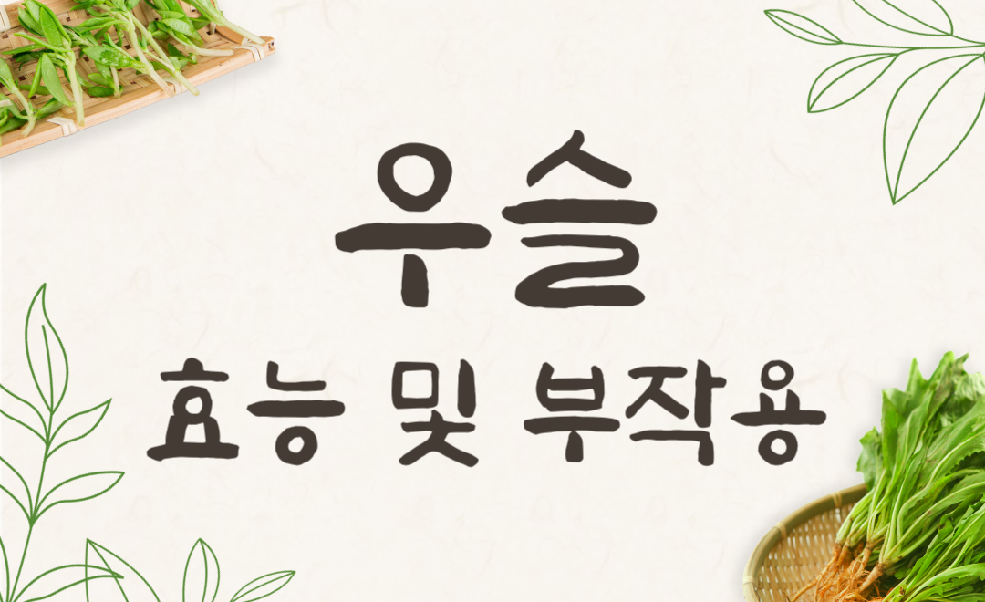 우슬 효능과 부작용, 우슬차와 우슬즙 효과적인 먹는법 총정리