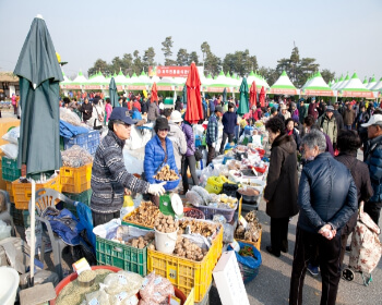 파주장단콩축제_20
