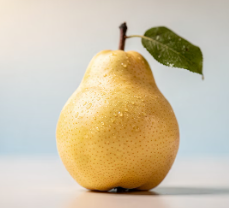 비염에 좋은 음식