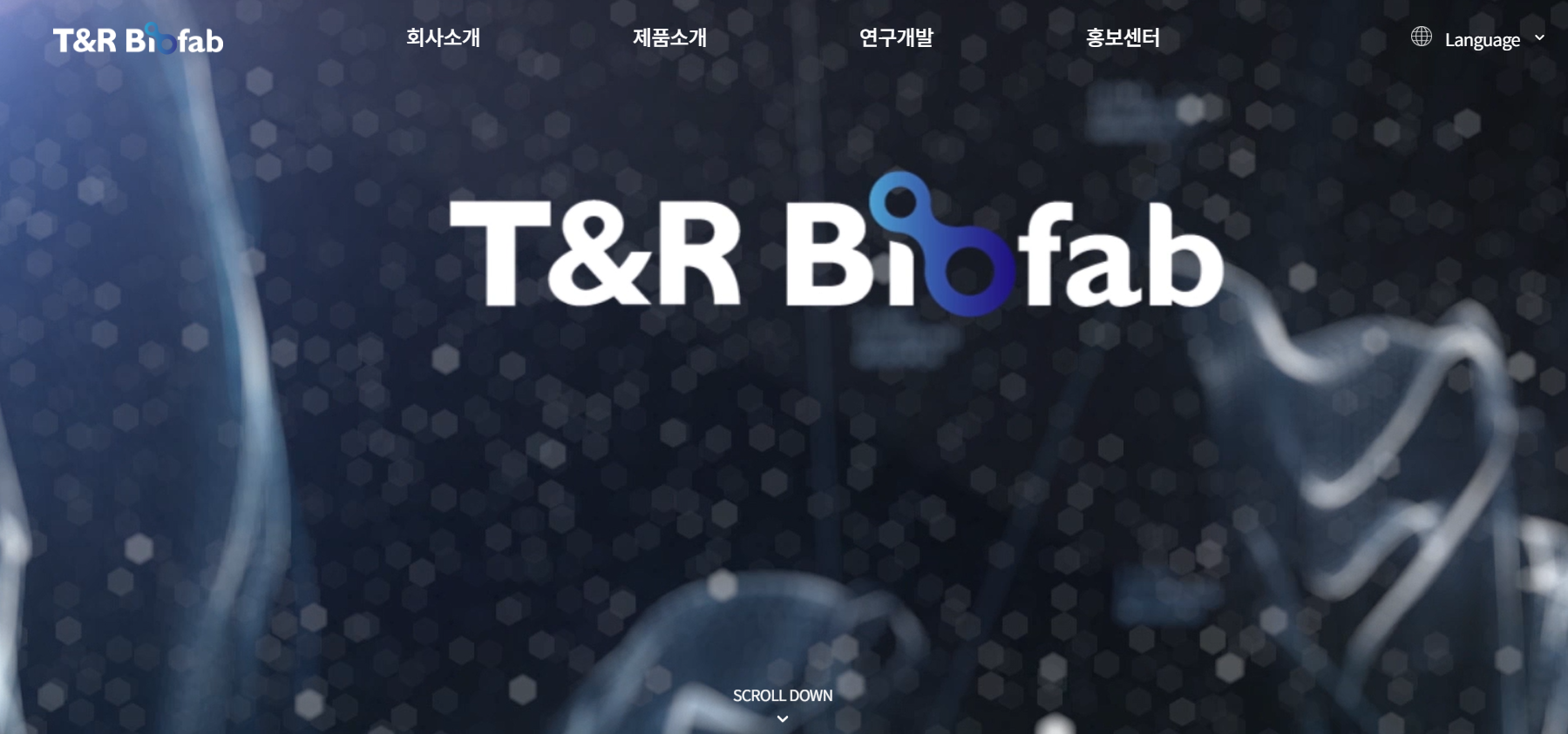 3D 프린팅 맞춤 의료기기의 미래, 국내 선도기업 3곳 집중 탐구