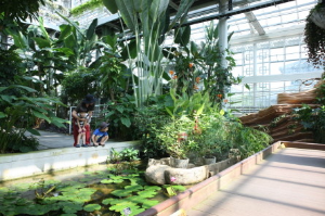 경주 가볼만한 곳 경주동궁원