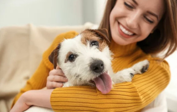 강아지사진/ 출처:어도비스톡