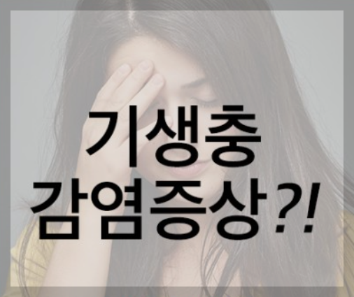 기생충 감염증상