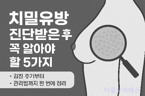 치밀유방 진단받은 후 꼭 알아야 할 5가지 : 검진 주기 및 관리법