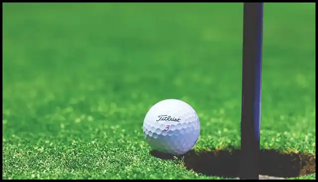 파크골프채 가격 추천 (혼마, 피닉스, 미즈노)